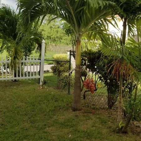 Cynson Villa Holiday Accommodations Christ Church Exterior foto