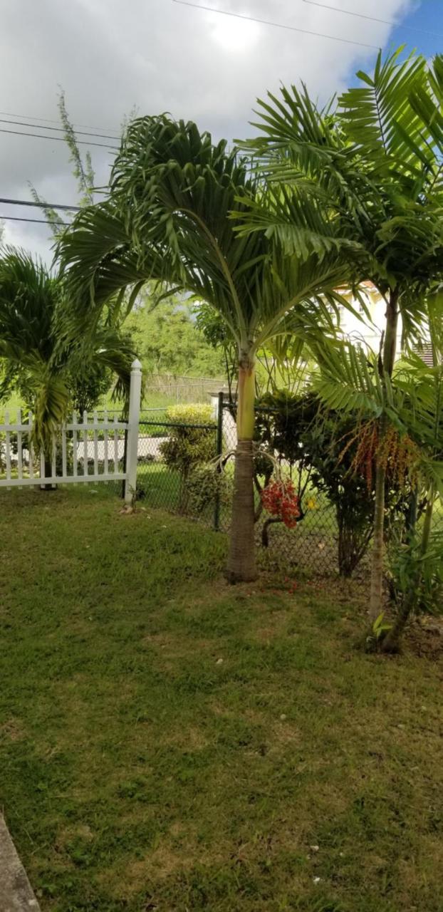 Cynson Villa Holiday Accommodations Christ Church Exterior foto